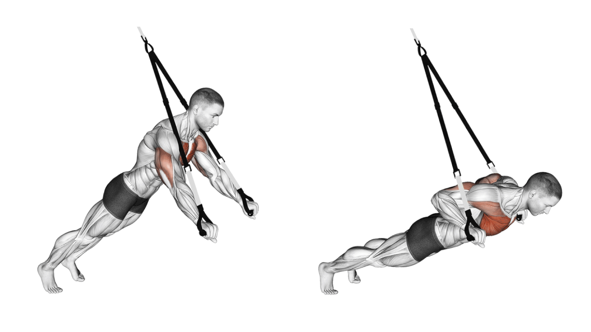 Trx